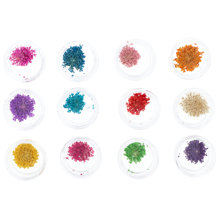 FLORES SECAS PARA NAIL ART 12UDS