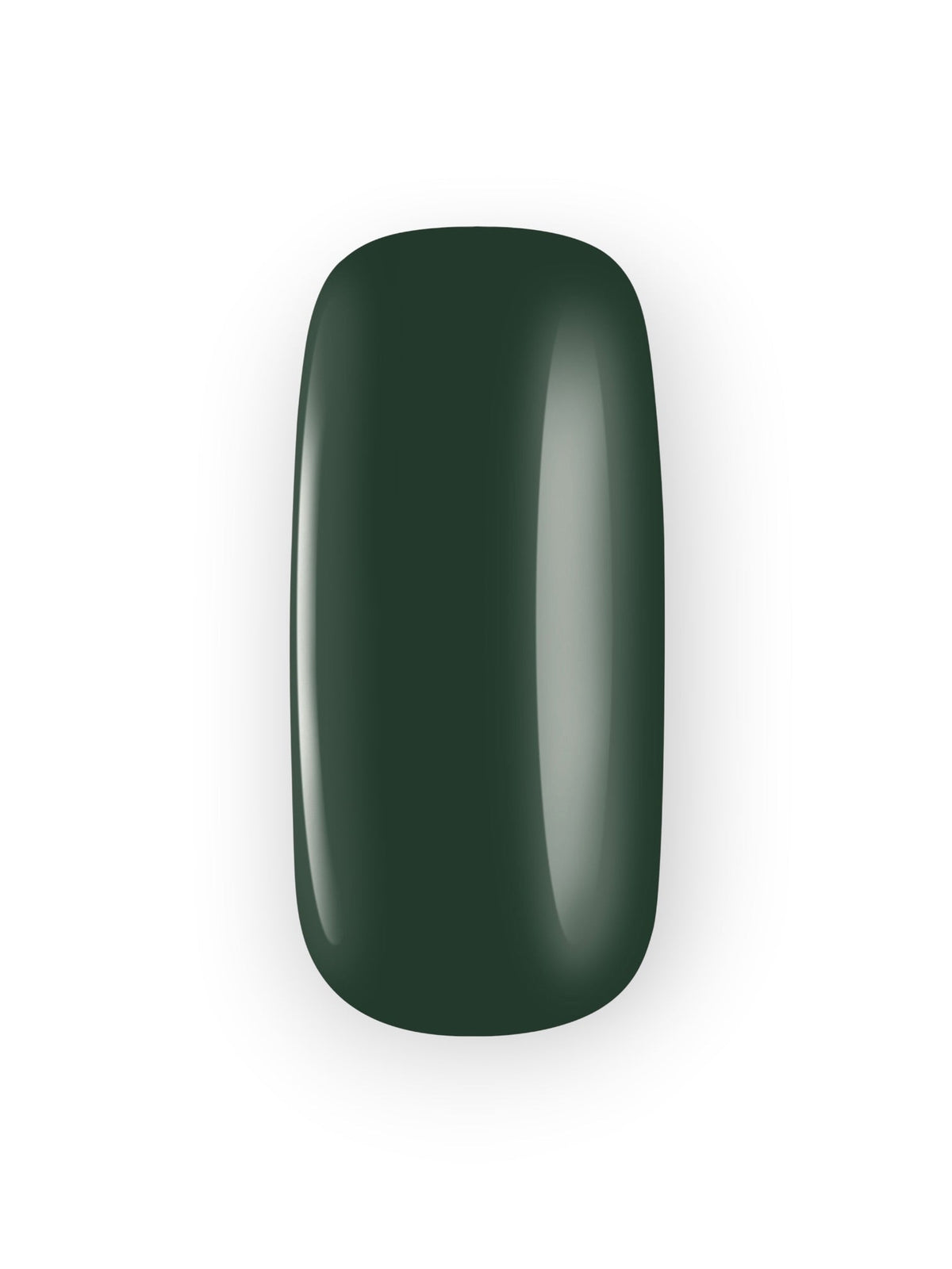 Color Expert Fall and Winter Collection - Esmalte de uñas brillante / Nº(401→422)