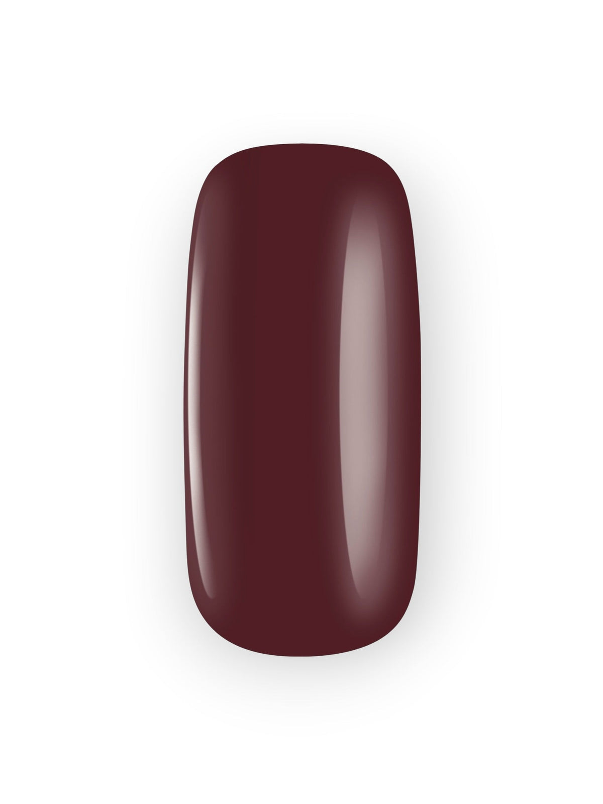 Color Expert Fall and Winter Collection - Esmalte de uñas brillante / Nº(401→422)
