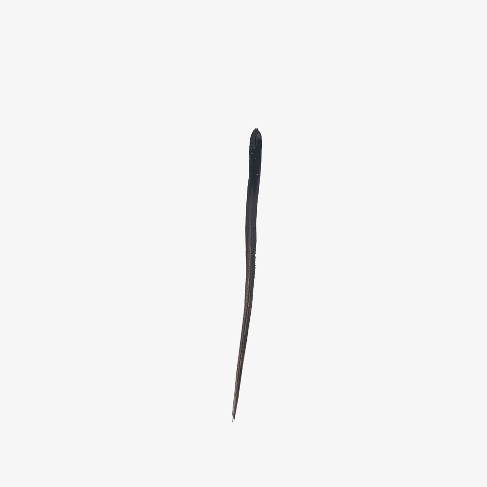 Perfect Lashes Black Eyeliner - Eyeliner líquido negro